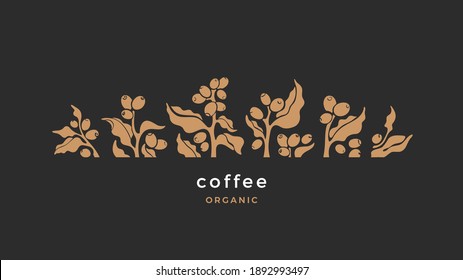 Rama de café. Planta vectorial con hoja, forma de baya, frijol de arabica. Ilustración tropical sobre fondo negro. Bebida natural de cafeína