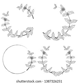 coffee branch wreath frame collection natural organic concept. eps10 vectors illustration