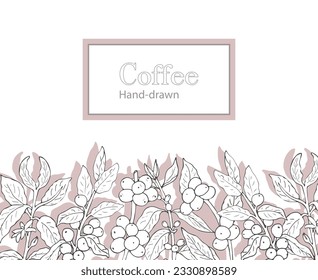 Coffee branches banner or label template for packaging design, hand drawn sketch style vector illustration. Banner with a coffee branch with leaves and berries decorative elements.