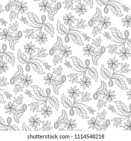Coffee branches. Illustration of leaves and fruits of coffee.