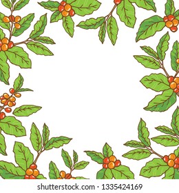 Coffee branches on white background. Floral template. Design element for leaflet, booklet or label.