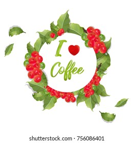 Coffee branch.Natural organic caffeine. Plant with coffee leaf, berry, bean, coffee fruit, seed.scented grain tree vector illustration.