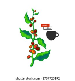 Coffee bright symbol. Vector tree, painted bean, green leaves. Bio aroma drink in cup. Art design on white background. Tropical sticker for cafe, menu, summer logo