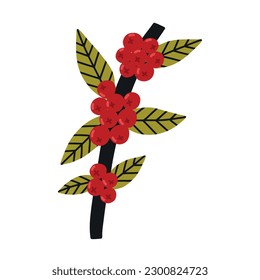 Coffee cherry berries on a branch. Hand drawn kids vector illustration in doodle style