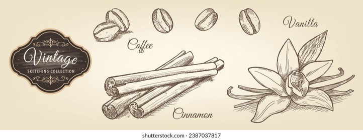 Kaffee-, Zimt- und Vanilleskizzen im Vintage-Stil. Vegetarisches, biologisches Essen. Vektorgrafik. 