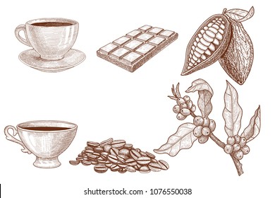 Coffee and cocoa, set. A cup of cocoa, chocolate and cocoa beans and a coffee cup with grains and a branch of coffee. Hand drawn vector illustration isolated on white.