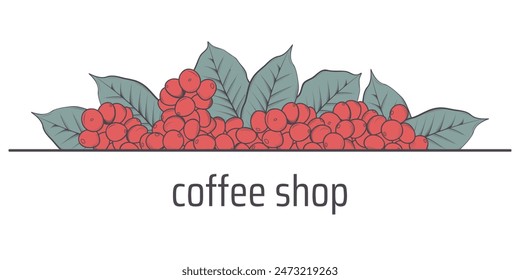 coffee crop vivid vector illustration. color design for coffee promotion