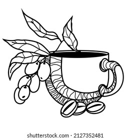 Coffee cup with beans in black line graphic for emblem or logo design. Monochrome black line image of coffee plant elements with cup, vector illustration isolated on white background.