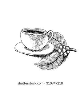 Coffee cup and beans on a white background