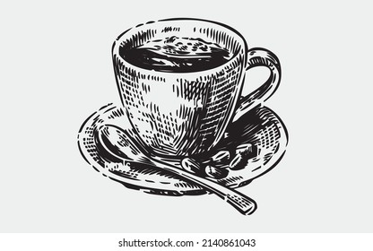 coffee cup and coffee beans sketch vector