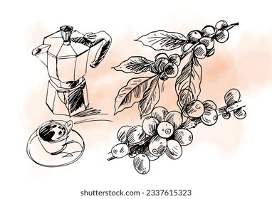 coffee cup of sketch ink drawing for vintage poster, art print, banner, brochure, promotion. coffee bean of drawing ink water colour art print.