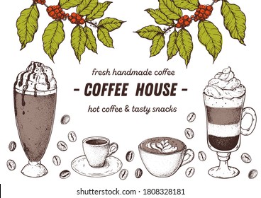 Coffee cups, beans and coffee tree illustration. Vintage design for coffee shop. Engraved vector illustration.