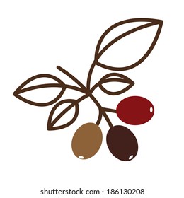Coffee design over white background, vector illustration