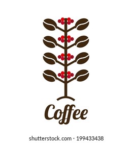 Coffee design over white background, vector illustration