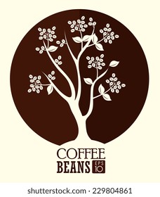 Coffee design over white background, vector illustration