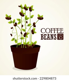 Coffee design over white background, vector illustration