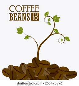 Coffee design over white background, vector illustration.