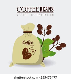 Coffee design over white background, vector illustration.