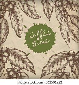 Coffee Design Template. Coffee Branch Engraving Illustration. Vector Illustration