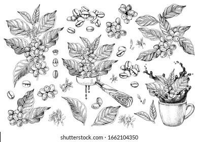 Coffee designs set with branches, beans, portafilter and cup with splash. Vector illustration in retro style