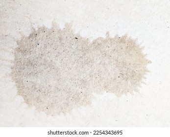 Coffee Dot Parchment. White Paper Surface. Dirty Wet Drop Structure. Grain Fade Splash. Brown Coffee Sheet. White Coffee Grunge. Natural Dirty Coffee Pattern. Grain Spot Texture. Uneven Dye Spatter.