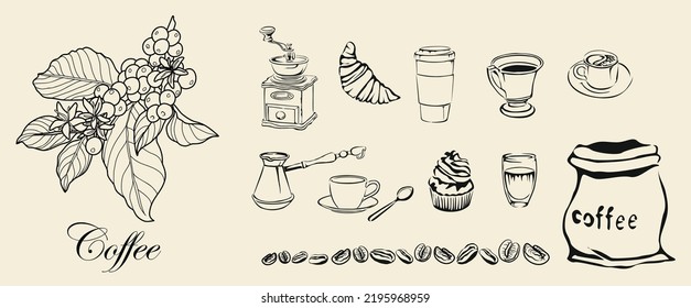 Coffee drink hand drawn collection. Sketch graphic elements for menu design. Vintage vector illustration. Various coffee drinks set. Coffee cups, beans, branch illustration.