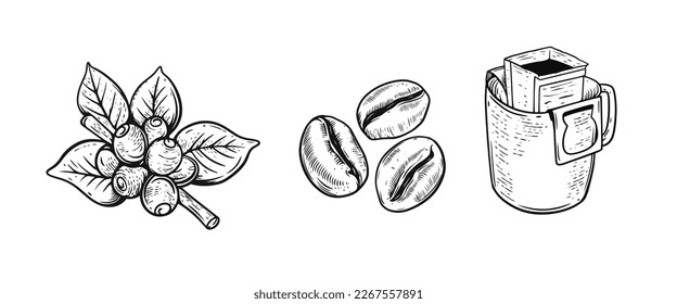 Coffee drip in mug, berry on a branch and beans. Hand drawn black and white color engraving style vector illustration.