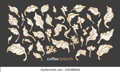 Coffee elements. Vector set of nature branch, leaves, bean, flower, grain. Art line collection. Floral illustration. Organic food, aroma drink. Vintage group of isotate 