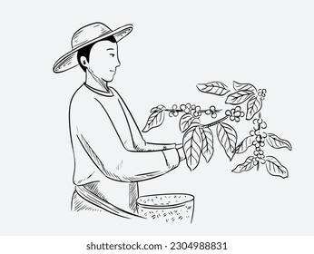 coffee farm of ink drawing for label, packaging, poster vintage, banner. coffee of sketch natural hand drawn. coffee bean vector drawing