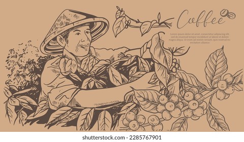 coffee farm and picker of ink sketch drawing vintage for label packaging, poster, banner, postcard, name card, art print