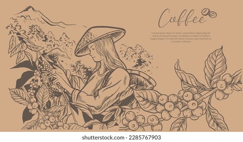 coffee farm and picker of ink sketch drawing vintage for label packaging, poster, banner, postcard, name card, art print