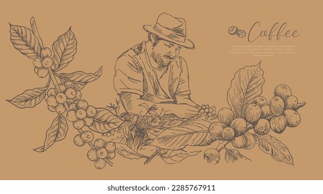 coffee farm and picker of ink sketch drawing vintage for label packaging, poster, banner, postcard, name card, art print