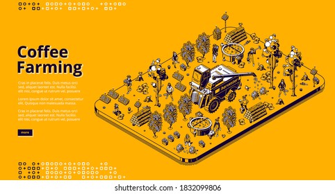 Coffee farming banner. Eco technologies for picking coffee beans on plantation. Vector isometric illustration of modern field with solar panels, combine harvester, trees and workers