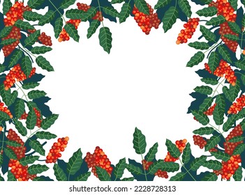 Coffee frame branch bean tree plant nature abstract design element concept illustration
