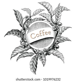 Coffee frame hand drawing vintage engraving illustration logo style