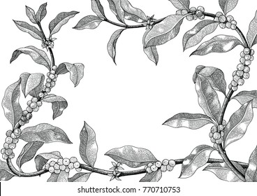 Coffee frame hand drawing vintage illustration on white background