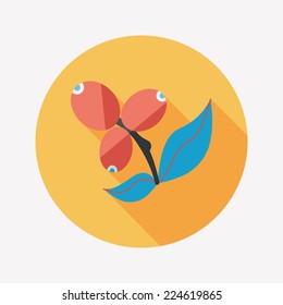 coffee fruit flat icon with long shadow,eps10