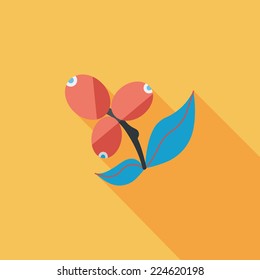 coffee fruit flat icon with long shadow,eps10