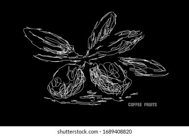 ilustración de frutas de café con arte garabateado o mano digital dibujada para el diseño de fondo o de pantalones t