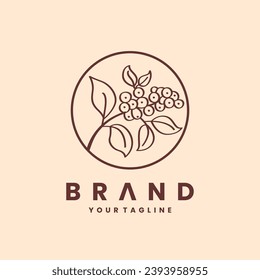 Coffee fruit vector logo design in vintage colors. Premium coffee logo