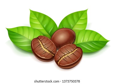 Coffee grain with green leaves. Natural ingredient for americano, espresso. Arabica bean isolated white background. Eps10 vector illustration.