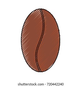 coffee grain vector illustration