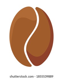 coffee grain in white background vector illustration design