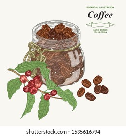 Coffee grains in glass jar. Hand drawn coffee beans and branch with leaves and ripe berries. Vector illustration. Colorful engraving style.