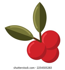 Kaffeegetreide und Blattsymbol, weißer Hintergrund