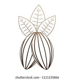 coffee grains with leafs isolated icon