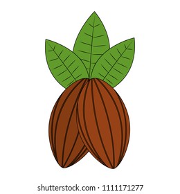 coffee grains with leafs isolated icon