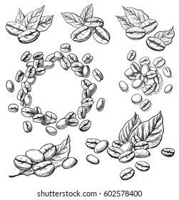 coffee grains and leaves in graphic style hand-drawn vector illustration.