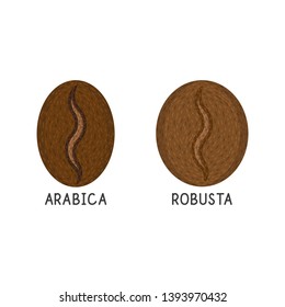 Coffee grains, robusta and arabica vector flat icon on white background