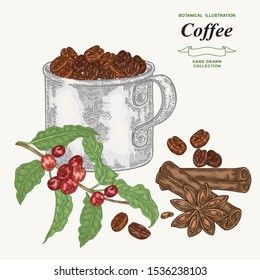 Coffee grains in rustic mug. Hand drawn coffee branch with leaves and berries. Vector illustration vintage. Colorful engraving style.